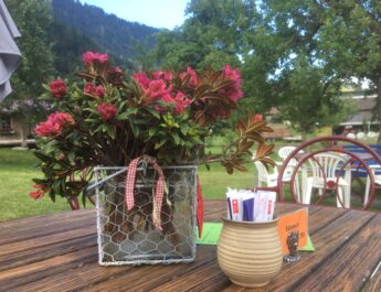 Iphone bis 25.7.2017 318